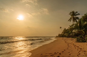 Ocean sunset sand beach with coconut palms, Sri Lanka.
