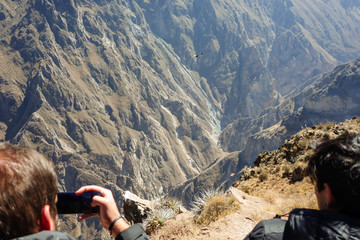 Arequipa/Peru: tourists take photos of the flying of the Condor, on the valley of 'Canyon del Colca'. 'Selective focus'