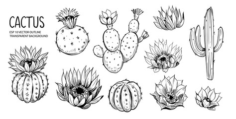 Set of cacti with flowers. Hand drawn illustration converted to vector - obrazy, fototapety, plakaty