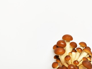 Wicker tray with variety of raw mushrooms on wooden table