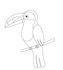 The outline of an exotic tropical toucan bird sitting on a branch, isolated on a white background. Vector hand drawn illustration, cartoon.