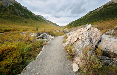 Savage River Loop Trail at sunset at Denali National Park, Alaska, USA.  The river is along the Savage River Trail loop which is open all year around.