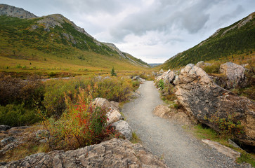 Savage River Loop Trail at sunset at Denali National Park, Alaska, USA.  The river is along the Savage River Trail loop which is open all year around.