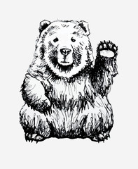 Bear character sketch