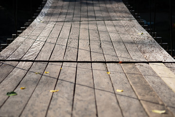 Suspension bridge in the forest