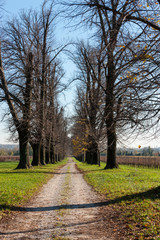 Villa di Maser (Barbaro) - Andrea Palladio architect- The path