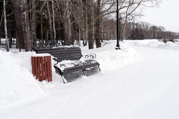 Lonely snowy bench in a winter park
