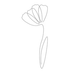 Spring flower line drawing vector illustration