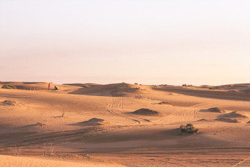 Fototapeta na wymiar Couple in love standing in the Sahara desert at sunset