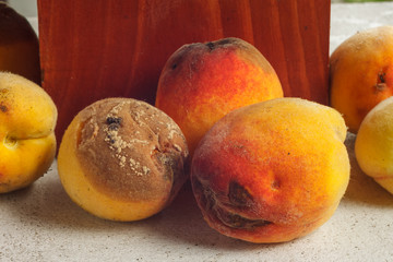 Rotten peaches. Close-up