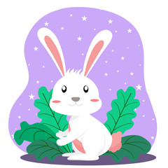 Vector and illustration of easter white rabbit, cute bunny cartoon characters.