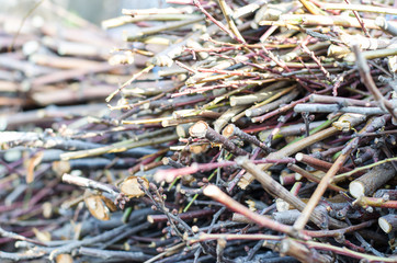 Branches of different sizes neatly laid. Brushwood close up