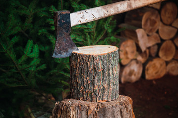 Ax on a wooden throne ready to cut firewood, background cut firewood and pine tree