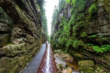 Gorge next to Kamienczyk waterfall (Kamienczuk wodospad), Poland