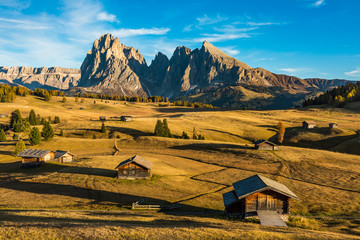 Seiser Alm with the mountains of Langkofel group in the background, Dolomites (IT)