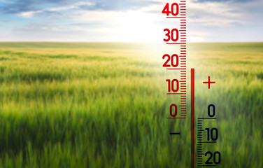 The thermometer on the background of the field shows 20 degrees above zero_