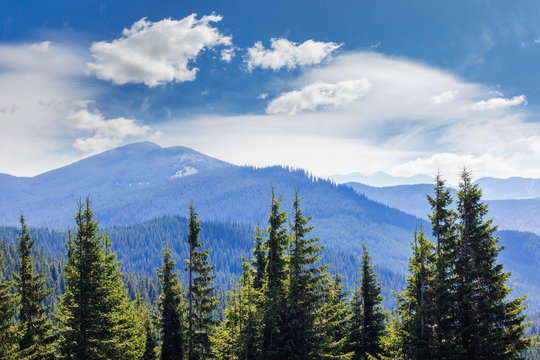 Mountain landscape with fir trees on blue mountains background and picturesque sky_ © Volodymyr