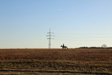 Fototapeta na wymiar Riding horse through fields