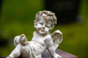 lachender kleiner Engel auf einem Friedhof in Holland 