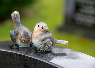 zwei lustige Vögel auf einem Friedhof in Holland 