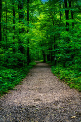 Naklejka premium Scenic views found while exploring Devil's Lake State Park in Baraboo, Wisconsin USA during sunset. 