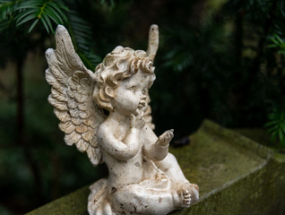 kleiner Engel sitzt auf einem Grabstein