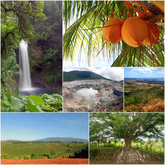 Costa Rica Natural Diversity Collage