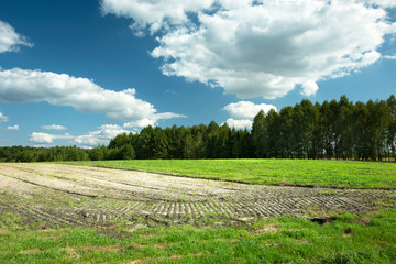 Fototapeta na wymiar Sown field, forest and white clouds on the blue sky