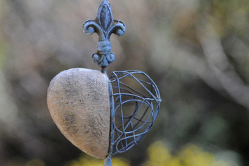 in the garden