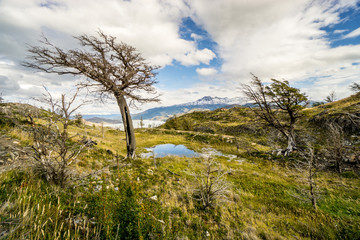 Windy Patagonia