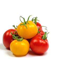 Rote und gelbe Tomaten vor weißem Hintergrund