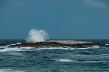 Wave sea shore along near to Cape Town, South Africa