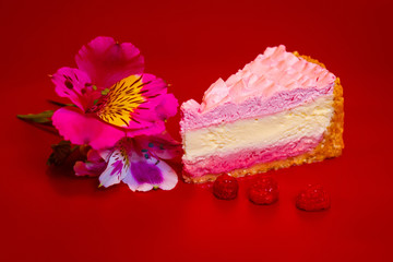 Fototapeta na wymiar Tasty piece of sponge cake decorated with a living flower and raspberries on a red background. Copy space. Closeup