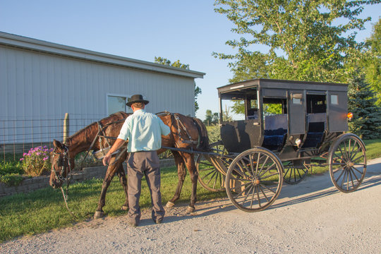Amish man unhitching horse from buggy