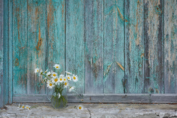 Charming still life with copy space chamomilles and daisies in water on wood background