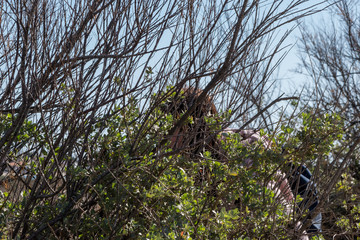 Ria Formosa Nature Park