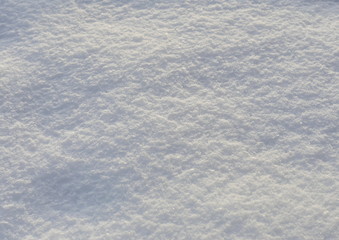Snow in the winter. Snow carpet. Snow background