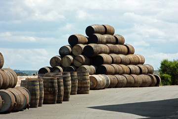 Whisky barrels stored at courtyard