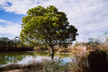 Ria Formosa Nature Park