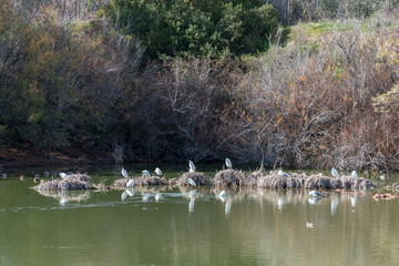 Ria Formosa Nature Park