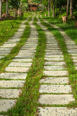 Landscaping, paving stone with grass in between