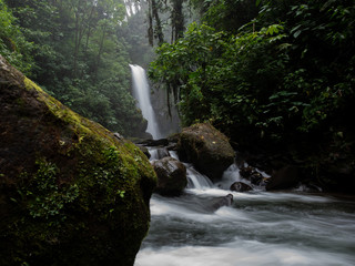 waterfall in forest