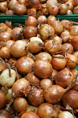 Fresh yellow onions at the market