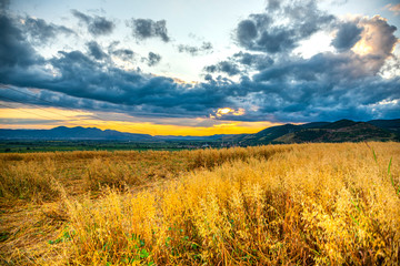 Obraz premium Storm summer clouds in the sunflowers field