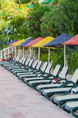 Empty sunbeds with colored umbrellas are in a row near the sea. Sun beds on vacation, around a flowering garden