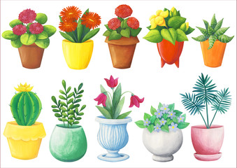 Set of indoor plants in flower pots. Cute, colorful gouache illustrations. Isolated on a white background. Flowers, cactus, greenery, geranium, gerbera, forget-me-not, bell flower, palm, succulent