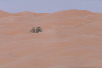 sand dunes in the desert