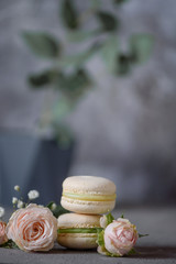 bouquet of small pink roses and two macaroons on a gray background Valentine's day composition