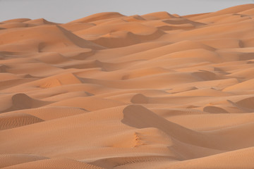 sand dunes in the desert
