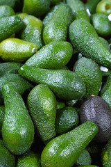 Big bunch of avocados at farmer market